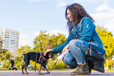 Young woman playing and training her little dog outdoors. Black and Tan miniature pinscher female dog with owner in a parkの写真素材