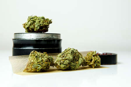 Close-up of medical marijuana buds on white background. Concept of herbal and alternative medicineの写真素材