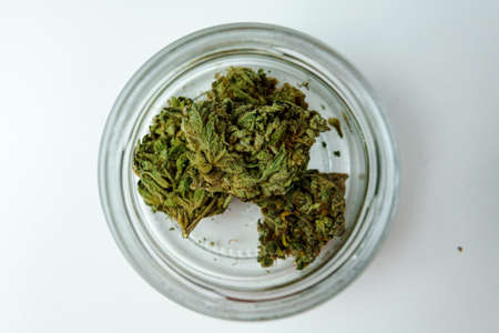 Close-up of medical marijuana buds on white background. Concept of herbal and alternative medicineの写真素材