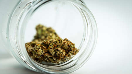 Close-up of medical marijuana buds on white background. Concept of herbal and alternative medicineの写真素材