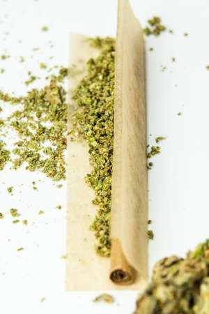 Close-up of medical marijuana buds on white background. Concept of herbal and alternative medicineの写真素材