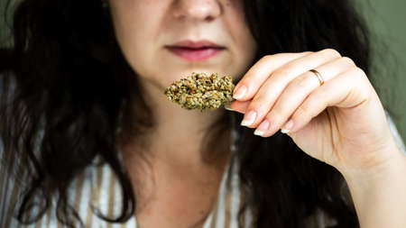 Close-up of female hand holding medical marijuana bud. Concept of herbal and alternative medicineの写真素材