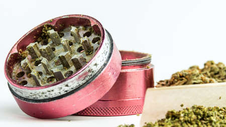Close-up of medical marijuana buds on white background. Concept of herbal and alternative medicineの写真素材