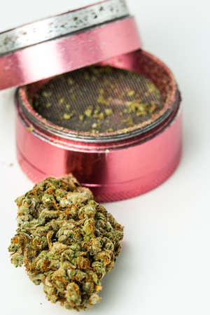 Close-up of medical marijuana buds on white background. Concept of herbal and alternative medicineの写真素材