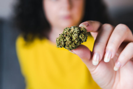 Adult woman holding in the hand medical marijuana buds, close up. Concept of herbal and alternative medicineの写真素材