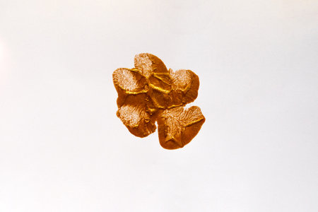 Golden dog paw print on white paper, close up. The dog stepped into the golden paint. Concept of...