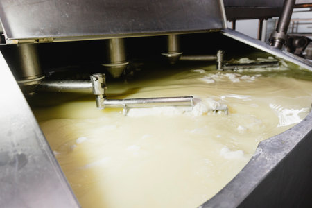 Mozzarella cheese factory. Produces handmade mozzarella with fresh milk, close up. Concept of cheese industry and tradition foodの写真素材