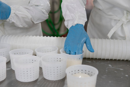 Mozzarella cheese factory. Produces handmade mozzarella with fresh milk, close up. Concept of cheese...