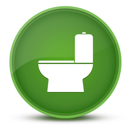 Toilet luxurious glossy green round button abstract illustrationの写真素材