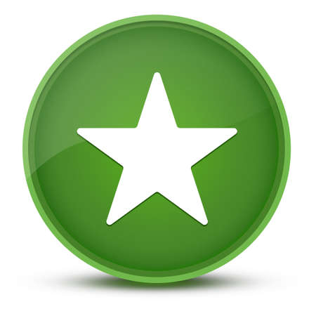 Star luxurious glossy green round button abstract illustrationの写真素材