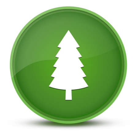 Evergreen conifer pine tree luxurious glossy green round button abstract illustrationの写真素材