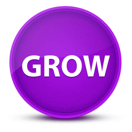 Grow luxurious glossy purple round button abstract illustrationの写真素材