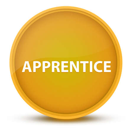 Apprentice luxurious glossy yellow round button abstract illustrationの写真素材
