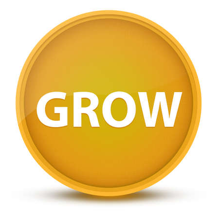Grow luxurious glossy yellow round button abstract illustrationの写真素材