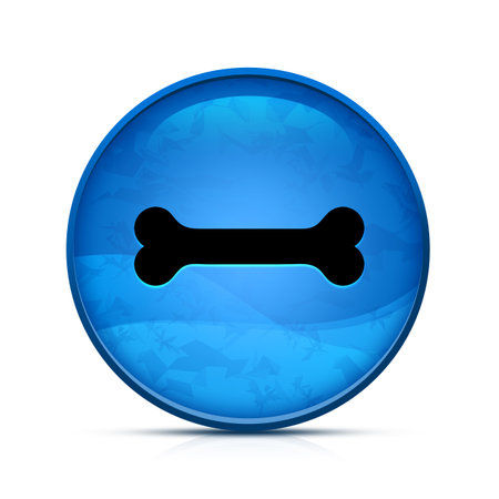 Bone icon on classy splash blue round buttonの写真素材