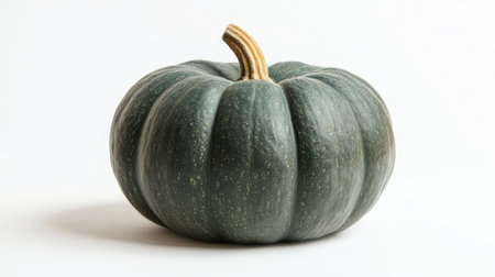 Side profile of a whole green pumpkin with stem detail, minimalist white backgroundの素材