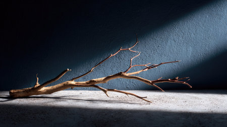 A single dry branch from a dead tree lies on a dark textured background, minimal lighting and sharp shadows for dramatic effectの素材