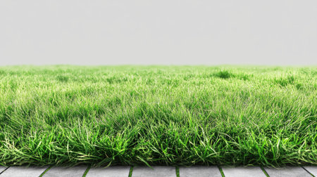 Freshly mowed green grass field isolated on transparent background, suitable for overlays, banners, or stock design assetsの素材