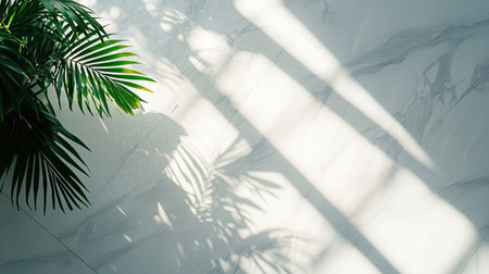 Soft shadow of a plant cast on a white marble floor under diffused daylight, with minimalistic and serene ambianceの素材