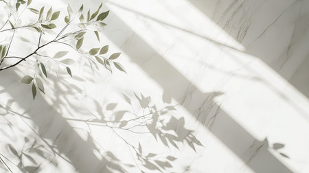 Soft shadow of a plant cast on a white marble floor under diffused daylight, with minimalistic and serene ambianceの素材