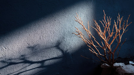 Shadow of a dry branch cast on dark wall, abstract natural composition with minimal detailの素材