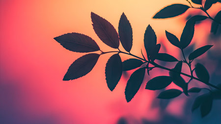 Close-up of tree leaves' shadow on vibrant sunset sky, soft gradients of orange and pink creating a calming moodの素材