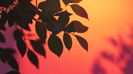 Close-up of tree leaves' shadow on vibrant sunset sky, soft gradients of orange and pink creating a calming moodの素材