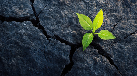A single vibrant plant growing bravely between two large cracked rocks, evoking strength and hopeの素材