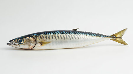 Side view of mackerel with realistic details and sharp focus, isolated on a plain white surface for commercial useの素材