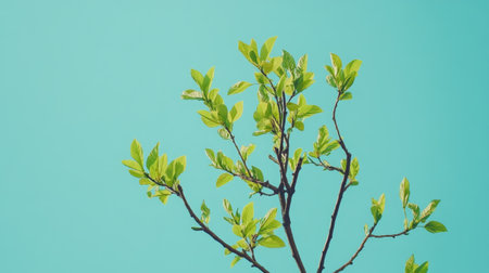 A green tree crown with new leaves against a clear, bright blue sky, representing fresh beginnings.の素材