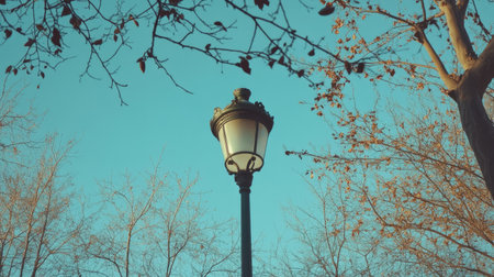 Single street lamp surrounded by tree branches, set against a backdrop of clear blue skyの素材
