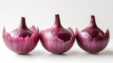 Three whole red onions with their papery outer layers intact, perfectly arranged on a plain white surface.の素材