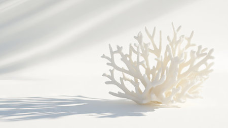 A simple, elegant piece of white coral isolated against a white background, with soft shadows accentuating its form.の素材