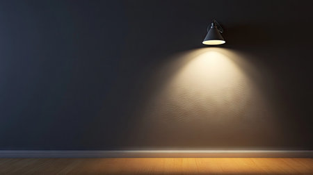 A solitary wall sconce emitting a cozy light in a dark, empty room.の素材