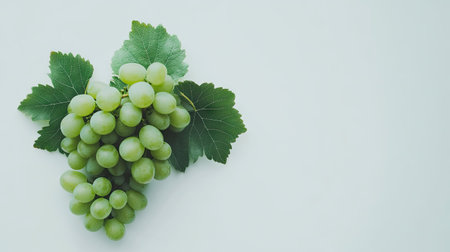 A fresh cluster of green grapes with leaves attached, isolated on a minimalistic white background.の素材