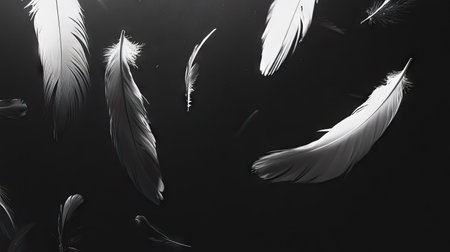 A close-up of light, airy white feathers descending elegantly against a shadowy black space.の素材