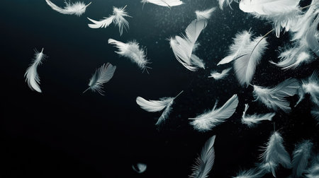 A dramatic, artistic composition of scattered white feathers mid-fall against a dark, shadowy backdrop.の素材