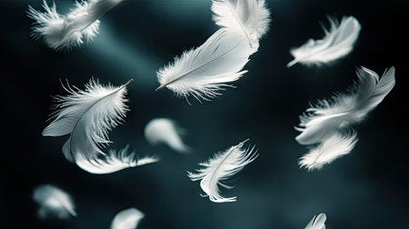 A dramatic, artistic composition of scattered white feathers mid-fall against a dark, shadowy backdrop.の素材
