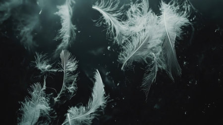 A surreal image of ethereal white feathers gently raining down in slow motion against black.の素材