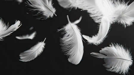 Dreamy white feathers falling and softly illuminated by subtle lighting against a black background.の素材