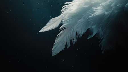 Soft white feathers gracefully falling against a deep black background, illuminated by gentle lighting.の素材