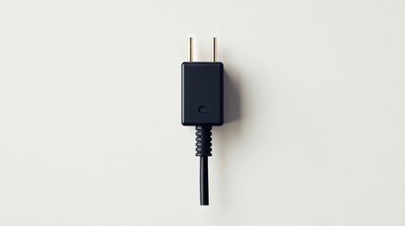A single black electrical plug lying flat on a white background, with no cables attached, showcasing its detailsの素材