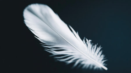 Close-up of a single white feather slowly descending against a pitch-black background.の素材
