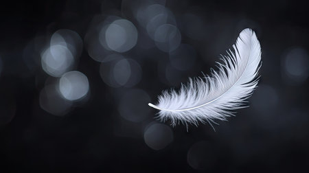A single delicate white feather falling with motion blur against a dark background.の素材