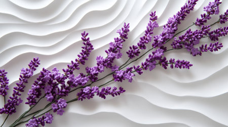 An artistic composition of lavender sprigs arranged diagonally, with purple flowers standing out against white.の素材