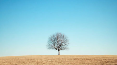 A solitary tree in a wide field, its branches bare against the bright blue sky, creating a minimalist, calm, and peaceful scene.の素材