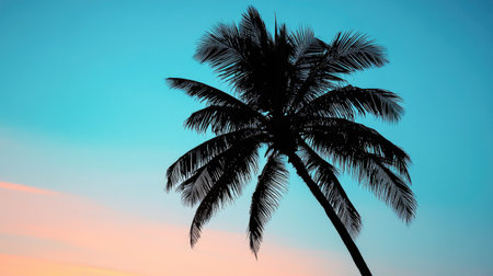 A silhouette of a coconut tree at sunrise, its fronds glowing against the soft blue morning sky.の素材