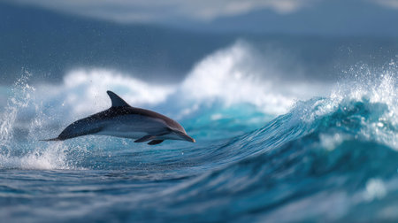 A stunning action shot of a striped dolphin suspended mid-air with ocean waves and sky in the backgroundの素材