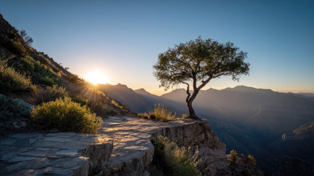 A lone tree standing on the edge of a mountain overlook, with the sun rising in the background over distant peaksの素材