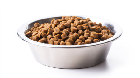 A stainless steel bowl filled with dry dog food pellets, cleanly isolated on a bright white backgroundの素材